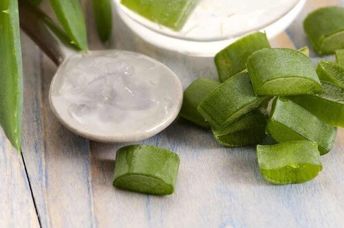 Aloe vera.