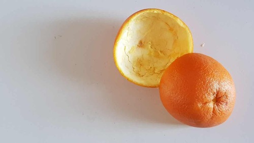 Bucce di arancia.