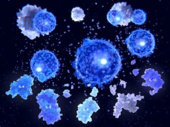 Citochine: cosa sono e quali funzioni svolgono?