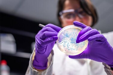 Antibiotico resistenza: come combatterla?