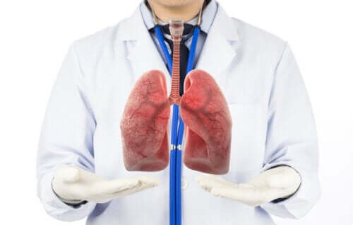 Le fasi della respirazione umana in sintesi