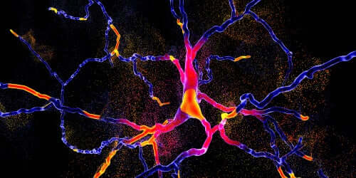 Neuroni e tecnica per differenziare Parkinson e atrofia.