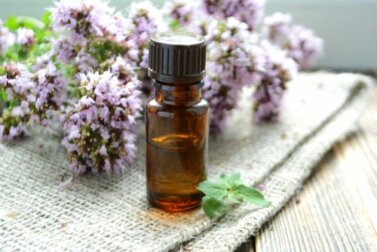 Oli essenziali contro i disturbi della stagione invernale