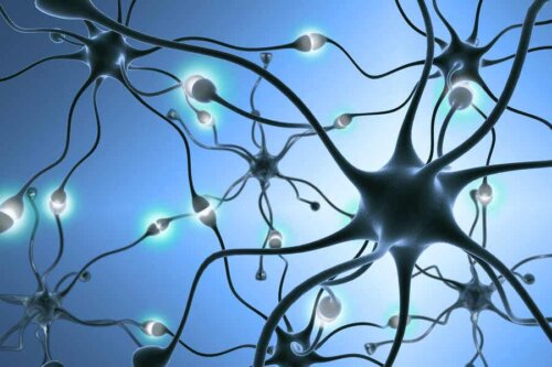 Rete neurale.
