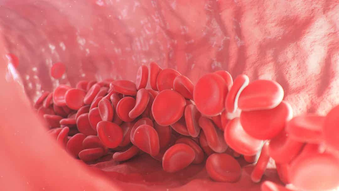 Sangue all'interno di un'arteria.