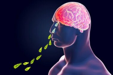 Infezione da Naegleria fowleri: ameba mangiacervello