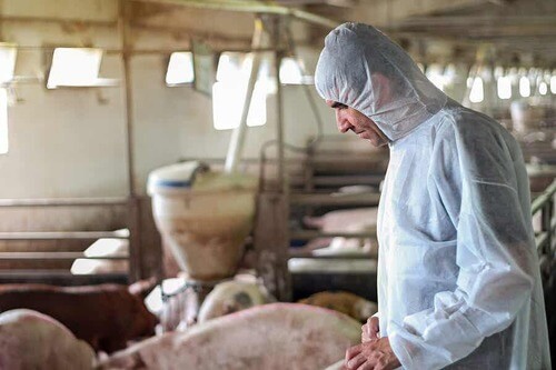 Veterinario in una fattoria.