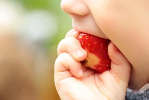 Bambino che mangia una fragola.