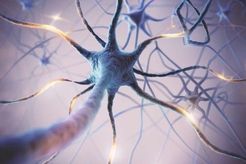 Neuroni su fondo viola.