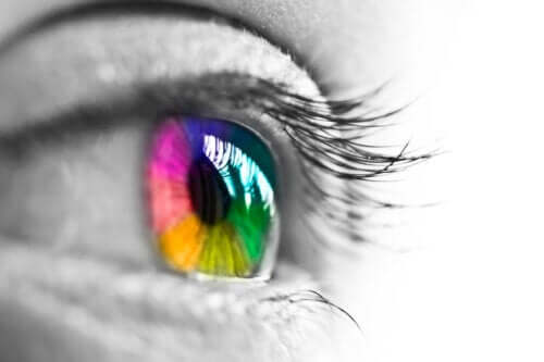 Percezione dei colori e occhio umano