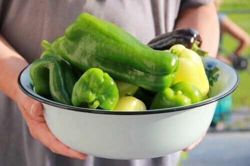 Coltivare i peperoni sul balcone: come fare