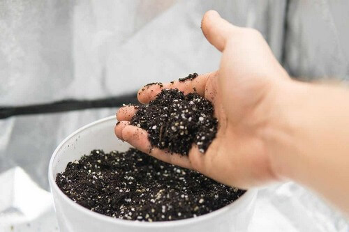 Aggiunta di perlite.