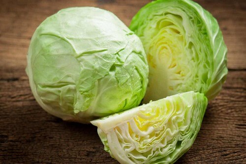 Cavolo verza