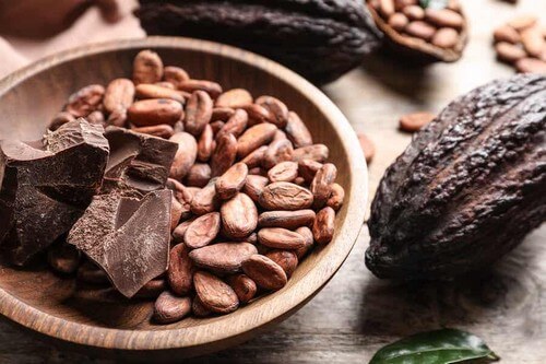 Fava di cacao e semi.