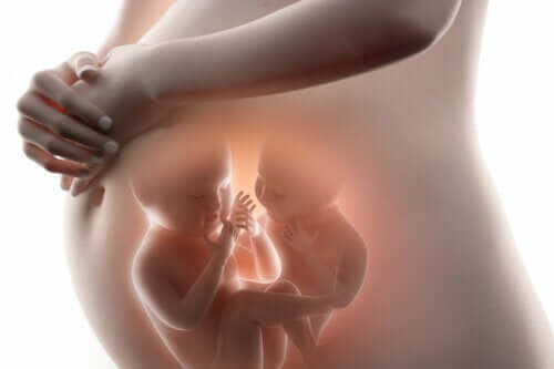 Superfetazione o rimanere incinta in gravidanza