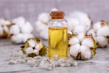 Olio di semi di cotone: usi, benefici e rischi