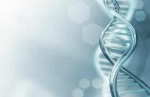 Tutto quello che c'è da sapere sul DNA