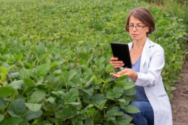 Ormoni bioidentici: sono un'alternativa più sicura?