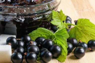 Ribes nero o cassis: valore nutritivo e proprietà per la salute