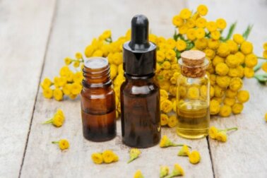 Olio di tanaceto blu: usi cosmetici e medicinali