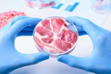 Carne sintetica: quali vantaggi e svantaggi?