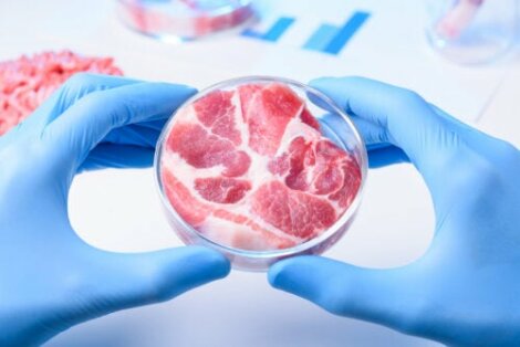 Carne sintetica: quali vantaggi e svantaggi?
