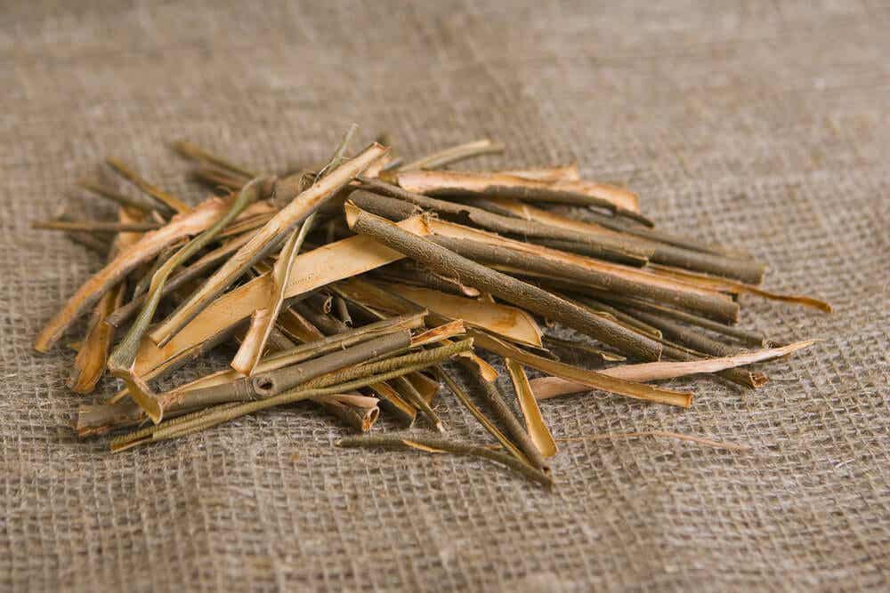Corteccia di salice per trattare gli strappi muscolari