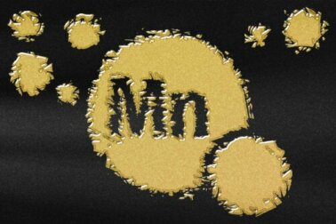 Manganese: importanza per l'organismo e alimenti che lo contengono