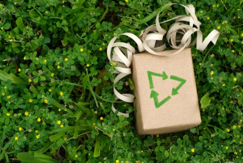 12 regali ecosostenibili da fare a Natale