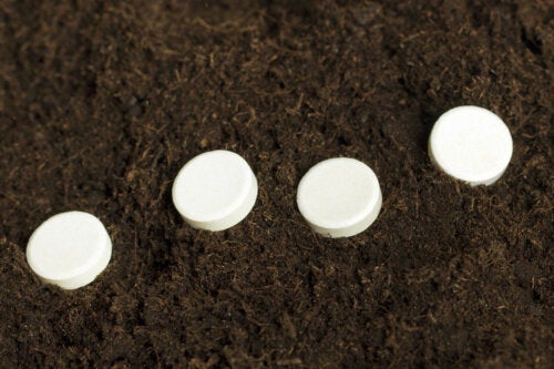 Aspirina per aiutare le piante a radicare: un trucco efficace