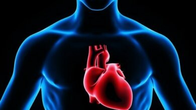 Scoperto come rigenerare il cuore dopo un infarto