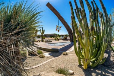 Mini guida per realizzare un giardino in stile desertico
