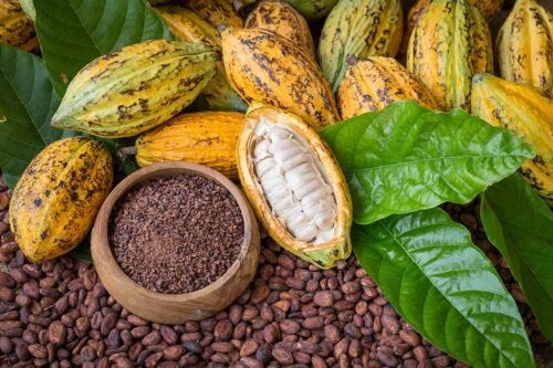 Cacao, alimento medicinale e rimedio di bellezza