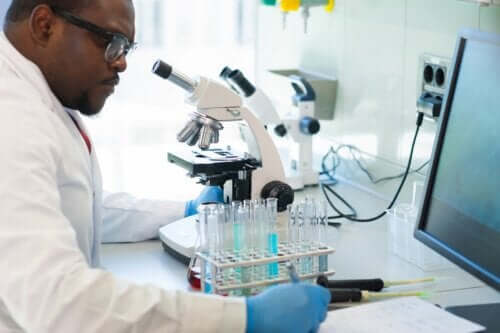 Che cos'è la biotecnologia e quali sono le sue applicazioni?