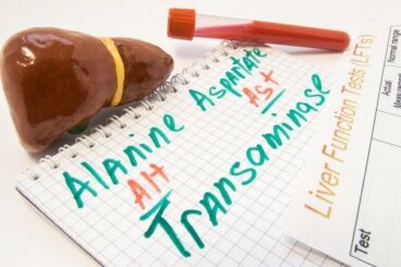 Transaminasi alte: significato, cause e trattamento