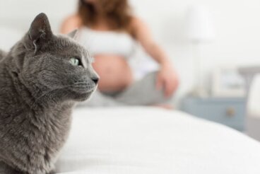 Toxoplasmosi: sapete come prevenirla?