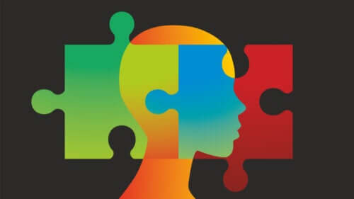 Teoria modulare della mente: come funziona il cervello umano?