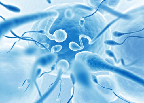 Sperma e seme: 18 curiosità che forse non conoscete