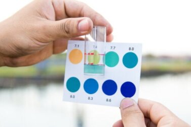 Quali farmaci cambiano il colore delle urine?