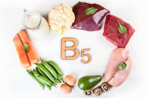 Acido pantotenico o vitamina B5: funzioni e alimenti che lo contengono