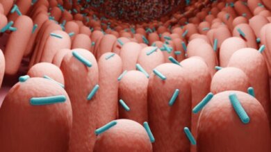 Postbiotici: cosa sono e come ottenerli?