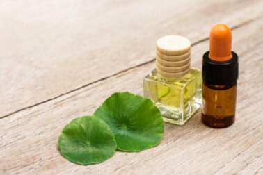 Centella asiatica: perché fa bene alla pelle?