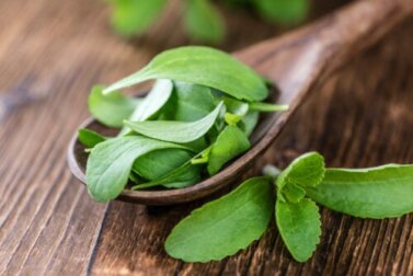 Stevia liquida fatta in casa: benefici e come prepararla