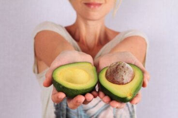 Varietà di avocado e loro caratteristiche