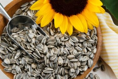 3 ricette con semi di girasole da provare