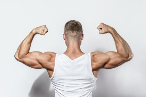 Valina: come interviene nell'aumento della massa muscolare?