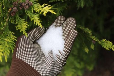 10 modi per usare i sali di Epsom nel vostro giardino