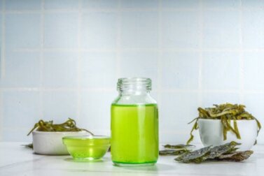 Olio di alghe: fonte di omega 3 e DHA