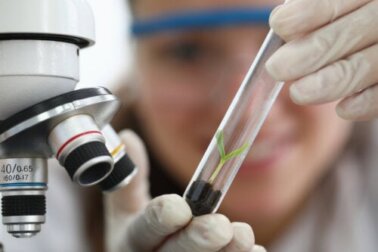 Empirismo: cos'è, caratteristiche ed esempi