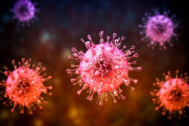 Infezione da citomegalovirus: cosa bisogna sapere